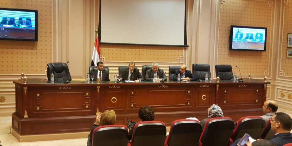 رئيس «خارجية البرلمان»: مصر لم تتاجر بقضية اللاجئين كما فعلت دول أخرى 