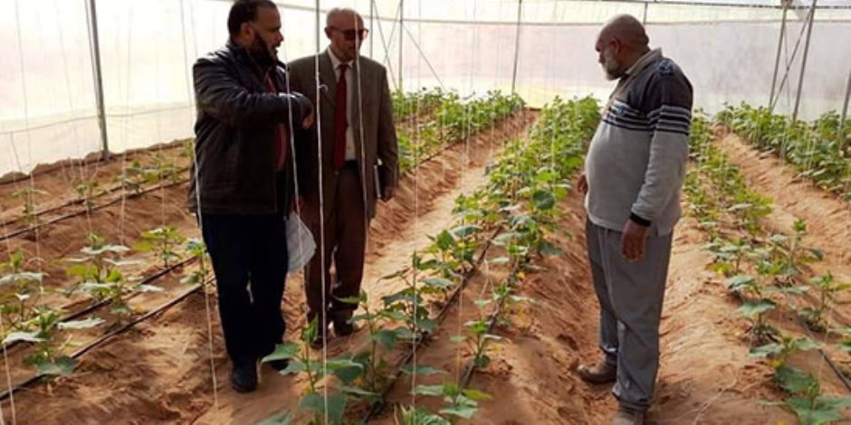 الأسعار تناسب الجميع.. «المزرعة الخاصة» مشروع جديد لتوفير السلع لأهالي سيناء (صور)