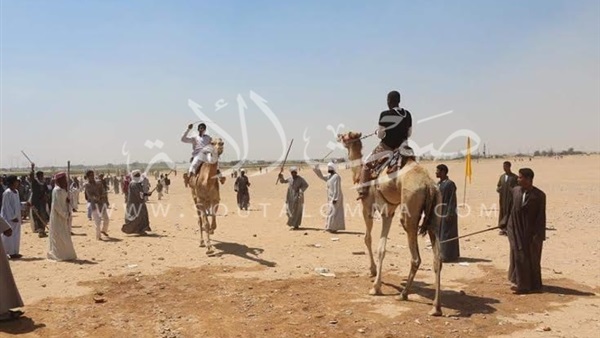 بالصور.. انطلاق مهرجان الهجن بحاجر النمسا في الأقصر بالصور.. انطلاق مهرجان الهجن بحاجر النمسا في الأقصر