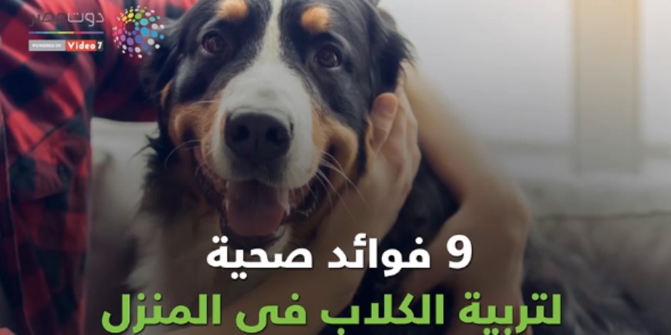 حقيقة مش خيال.. 9 فوائد صحية لتربية الكلاب في المنزل