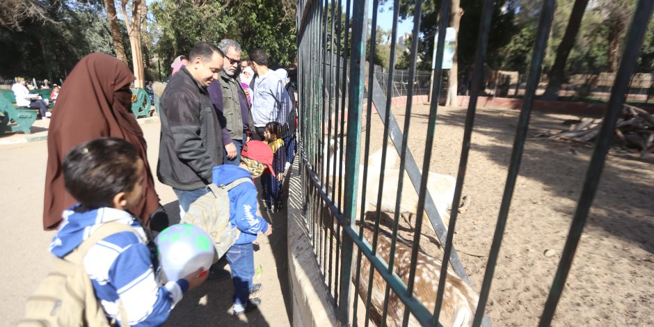 حديقة حيوان الجيزة تفتح أبوابها للزوار اليوم  بعد غلقها 6 أشهر