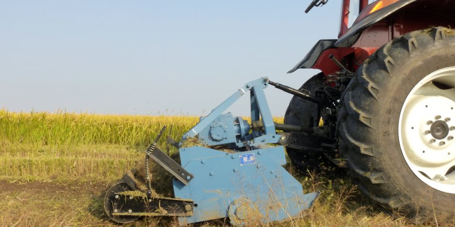 تقرير للبنك الدولي يكشف القيود المعوقة لتحقيق أهداف القطاع الزراعي في مصر