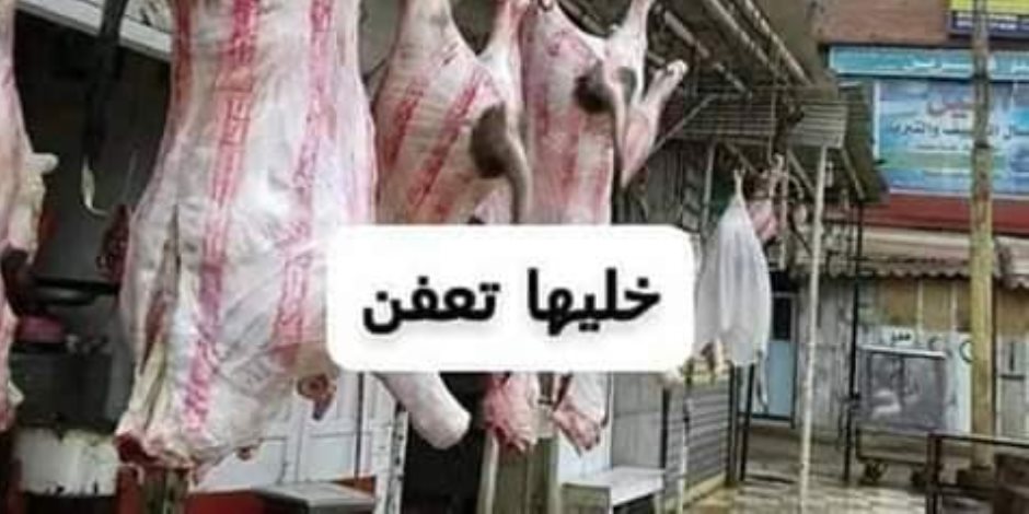 #خليها_تعفن.. هل تنجح حملة مواجهة ارتفاع أسعار اللحوم كما حدث في الصعيد؟