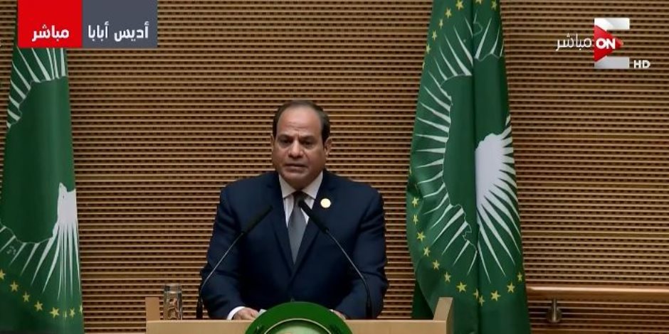 دعما لمصر وثقة في الرئيس.. «أفريقية النواب»: نقف خلف السيسي لنبذ العنف بالقارة