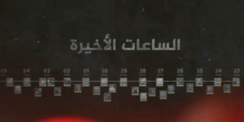 الجزيرة تعترف رسميا بإيواء ودعم الإخوان الإرهابية.. عناد أم إفلاس؟ (فيديو)