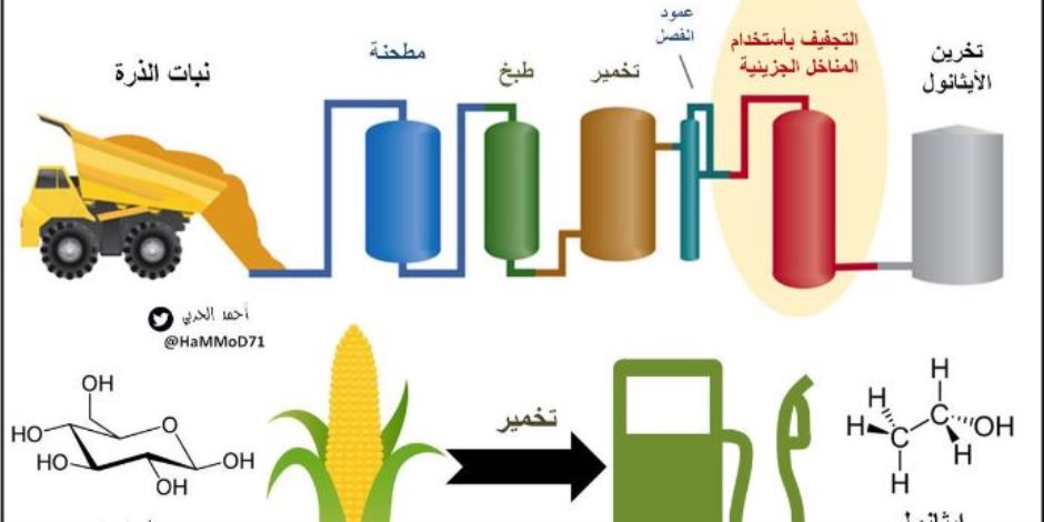 الوقود الحيوي يواصل تهديد غذاء الملايين: يستخدم الذرة وقصب السكر وفول الصويا