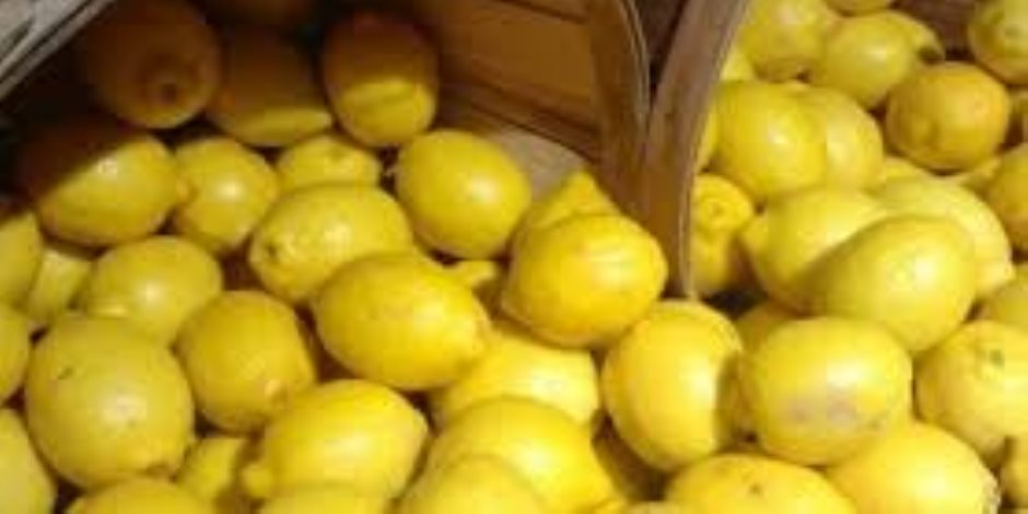 تأخر العروة الصيفية السبب.. تجار يتوقعون انخفاض أسعار الليمون في النصف الثاني من رمضان