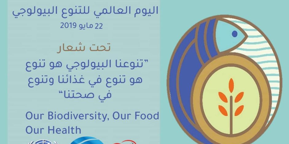 «شباب بتحب مصر».. تحتفل باليوم العالمي للتنوع البيولوجي بحملة «كلين شورز»