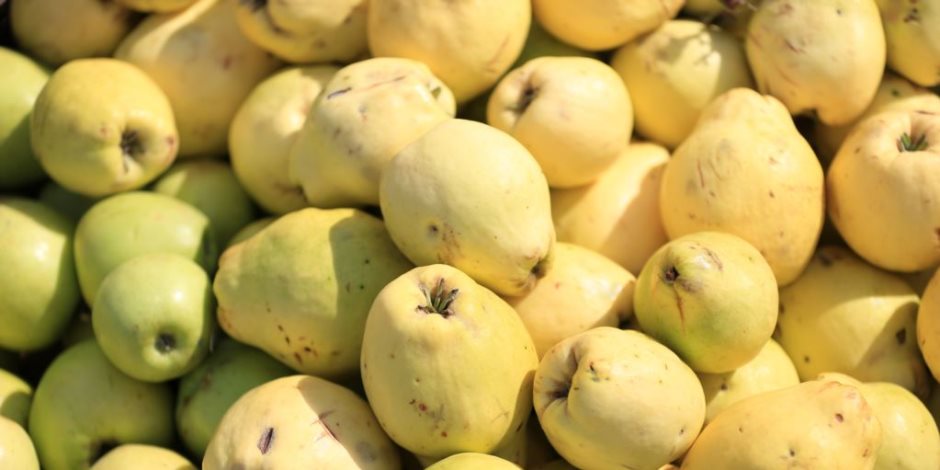 الاتحاد الأوروبي يوافق رسمياً على عدم فرض فحوصات إضافية على الجوافة المصرية
