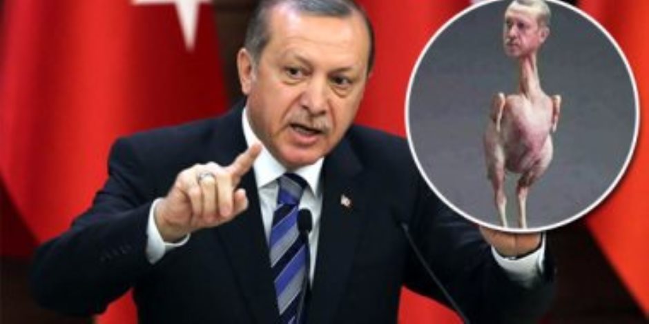 «أردوغان التافه».. الديكتاتور يتجسس على أستاذة بجامعة الإسكندرية ويطلب معاقبتها (مستندات)