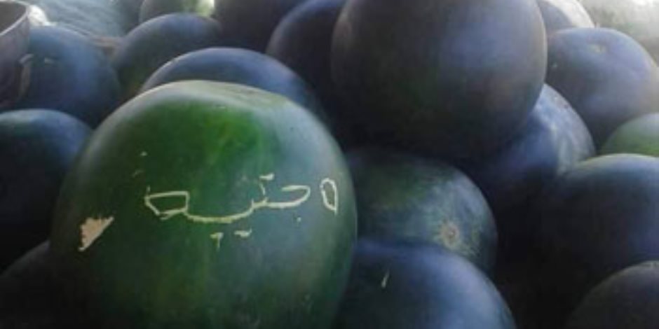 أسعار الخضروات والفاكهة اليوم الثلاثاء 5-5-2020.. البطيخ يبدأ من 15 جنيها للواحدة