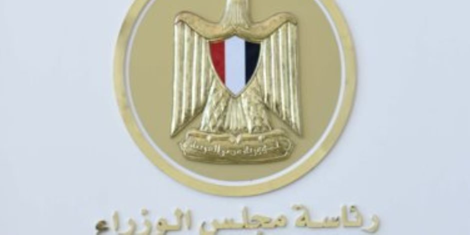 فتوى تؤكد: أرباح مساهمة الحكومة المصرية في «الجسر العربي للملاحة» تؤول للخزانة العامة للدولة