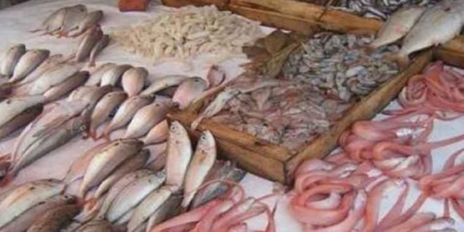 عزوف المواطنين عن شراء الأسماك يؤتي ثماره بالدقهلية.. انخفاض الأسعار للنصف