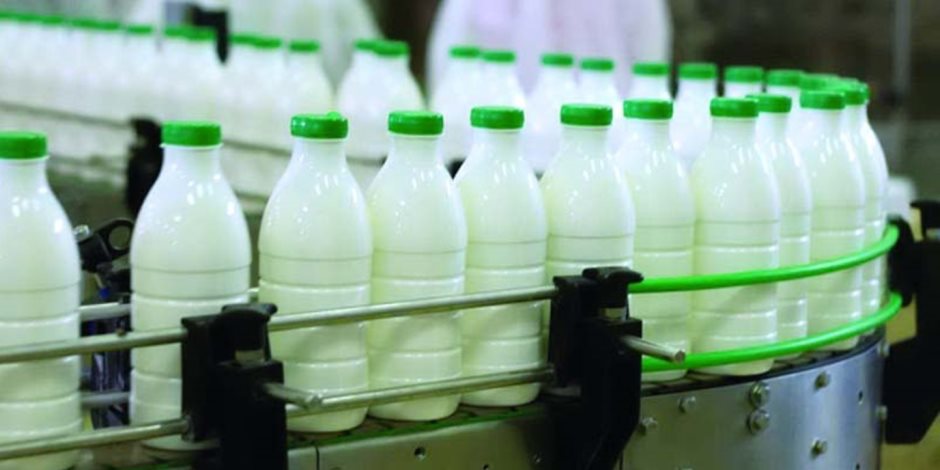طفرة في صناعة الألبان.. الأرقام تؤكد تحقيق الاكتفاء الذاتي من «الحليب»
