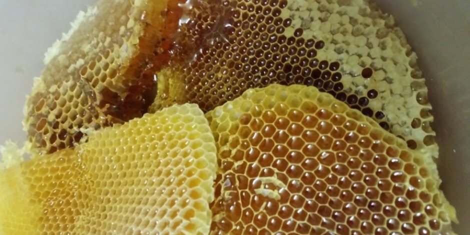 6 فؤائد للعسل الأبيض.. يقلل الكوليسترول أبرزها 
