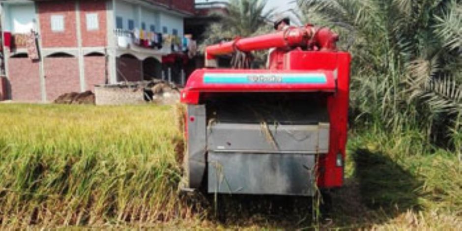 خطة الزراعة لمتابعة موسم حصاد الأرز (صور)