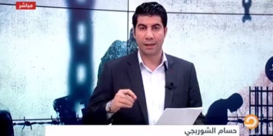 صفعة جديدة لمنابر الإرهابية.. متصلة تفضح مؤامرات الإخوان على مصر (فيديو)