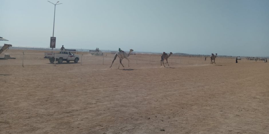 بإجمالي12شوطا... ننشر أسماء الفائزين بأشواط اليوم الثاني بمهرجان شرم الشيخ للهجن (صور) بإجمالي12شوطا... ننشر أسماء الفائزين بأشواط اليوم الثاني بمهرجان شرم الشيخ للهجن (صور)