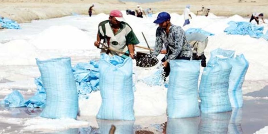 "الملح المصري" يغزو موائد أفريقيا.. وتوقعات بارتفاع الصادرات بعد تطوير البحيرات