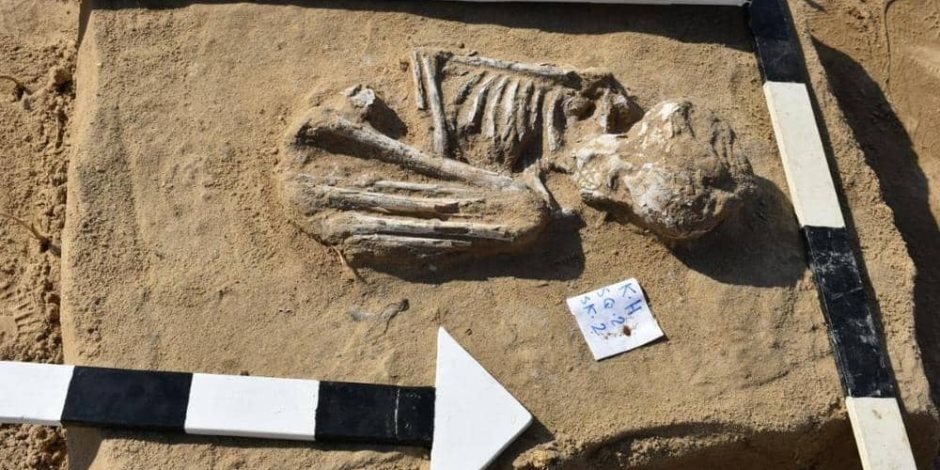 تفاصيل الكشف عن مقبرة في مصر تعود للعصر الروماني واليوناني