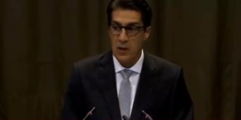 ممثل مصر بالعدل الدولية: قطر توفر ملاذا للإخوان وتدعم الإرهابيين فى سيناء