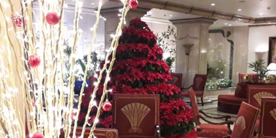 استعدادا لاستقبال رأس السنة.. الأقصر تتزين بأشجار «الكريسماس» 