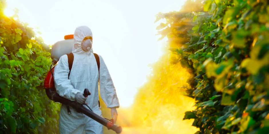على عكس المتوقع.. المبيدات الحشرية لا تسبب أضرارا جسيمة على البشر