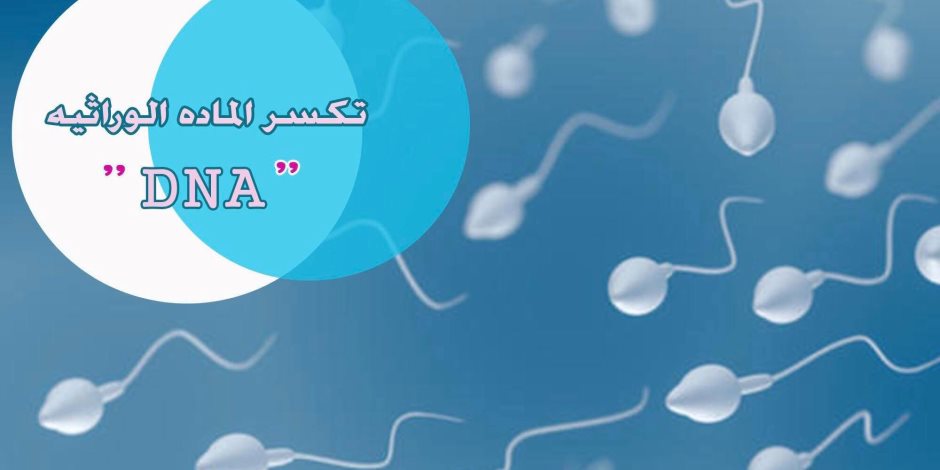 اطمن على نفسك.. ما هو تحليل تكسير المادة الوراثية ودوره فى الحمل؟ اطمن على نفسك.. ما هو تحليل تكسير المادة الوراثية ودوره فى الحمل؟