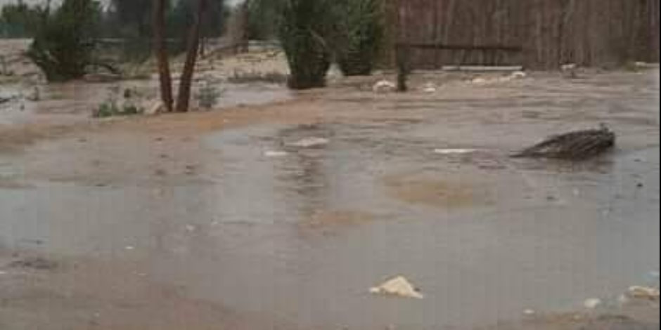 أمطار تعم شمال سيناء.. والمحافظة  ترفع درجة الاستعداد لمواجهة الأحوال الجوية ( صور)