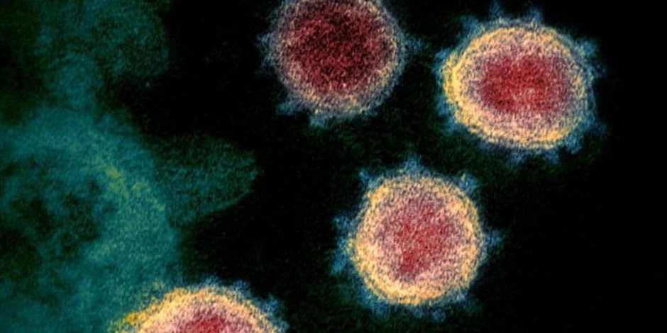 هل يصبح فيروس كورونا مجرد دور أنفلونزا ستتعلم أجسامنا محاربته؟