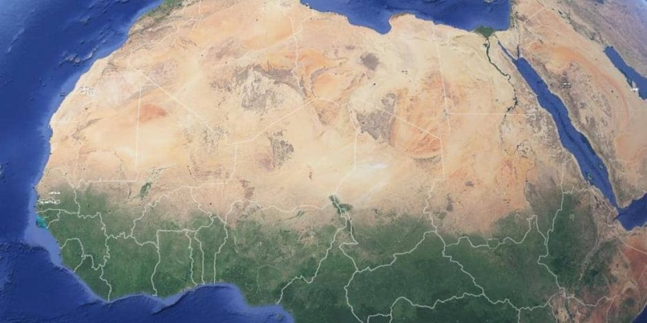 إفريقيا في أسبوع.. تفويض صلاحيات الحكومة التونسية لشهرين.. ومكافحة الجراد الصحراوي في 6 دول
