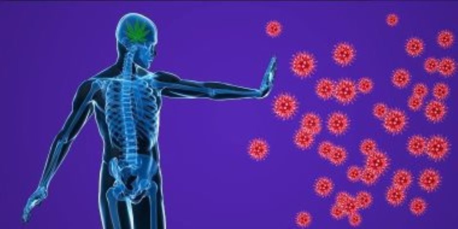 اعراض فيروس كورونا.... تعرف على الأعراض الجديدة المتوقع ظهورها مع تطور كوفيد 19