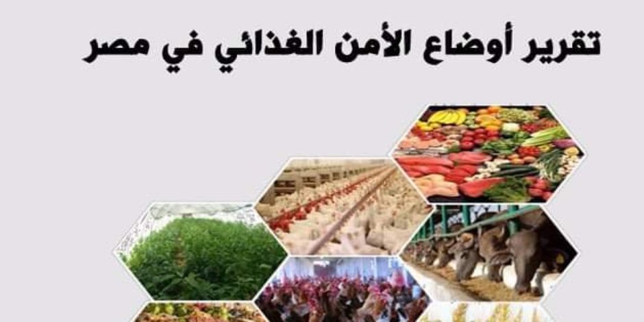11.2 مليون فدان مساحات مصائد بحرية.. وإنتاج المزارع السمكية وحقول الأرز الأول في قائمة المصادر