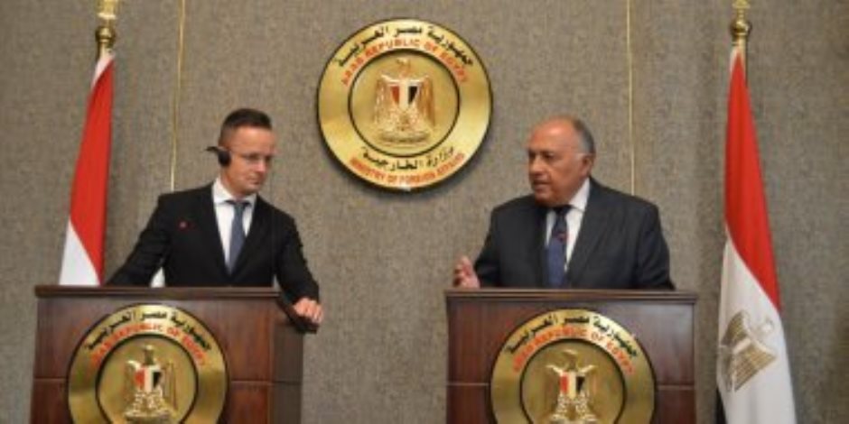 وزير الخارجية يوجه رسائل شديدة اللهجة لتركيا: مصر لم ولن تفرط فى نقطة من مياهها الإقليمية والاقتصادية