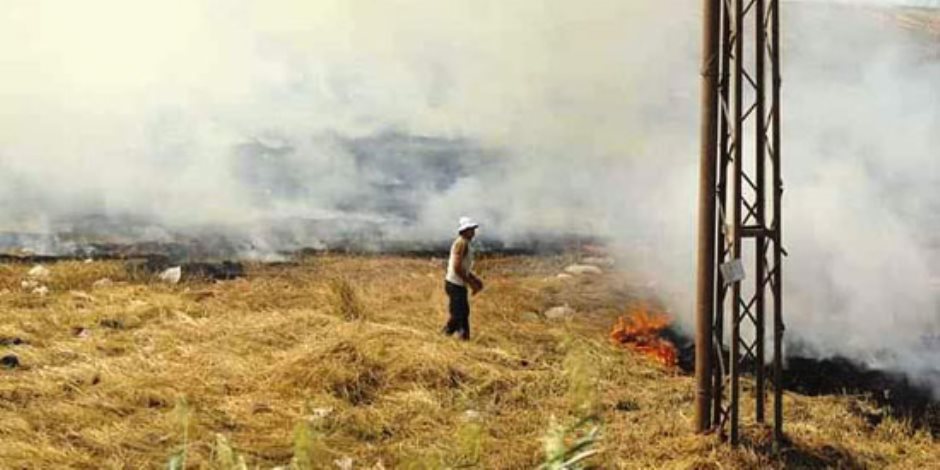 «راجعين من تاني» لحرق قش الأرز.. هكذا تتصدى الدولة للظاهرة الخطيرة في المحافظات