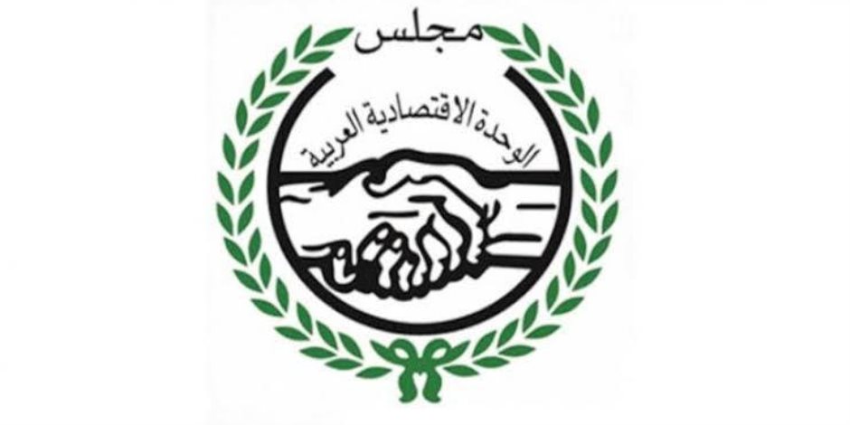 التعاون الدولي تؤكد دور الاتحادات العربية النوعية لوضع صيغ للتكامل الاقتصادي