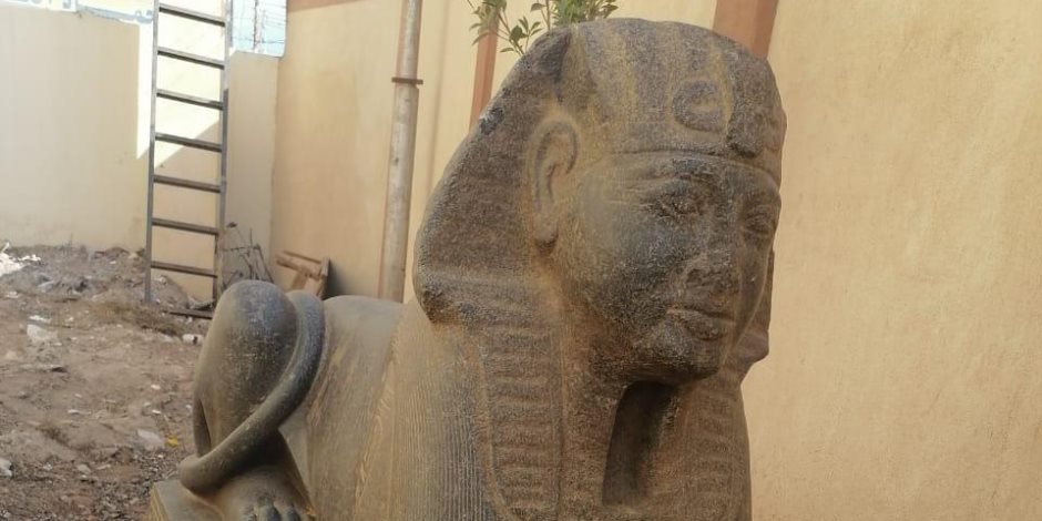 ماذا عن أبو الهول الجديد؟.. وزارة الآثار تبحث نقله للمتحف الكبير وتتبع خروجه