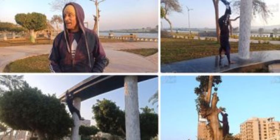 حكاية سبايدر مان المصري.. لقب اقتنصه ابن المنيا الذي يتسلق الأشجار رغم تجاوره الـ60 عاما (فيديو)