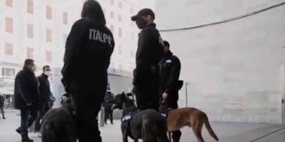 إيطاليا تدرب كلاب على رصد مصابى كورونا فى المطارات والمنافذ البرية.. فيديو