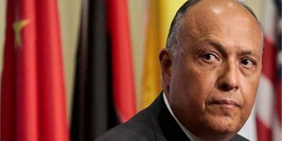 وزير الخارجية يدعو الدول العربية لدعم موقف مصر في قضية سد النهضة