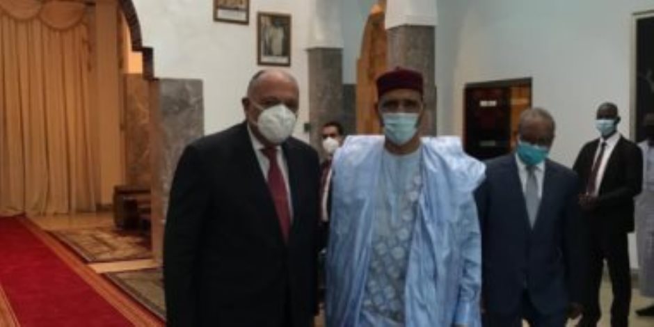 وزير الخارجية يطلع رئيس النيجر على مستجدات ملف سد النهضة وموقف مصر