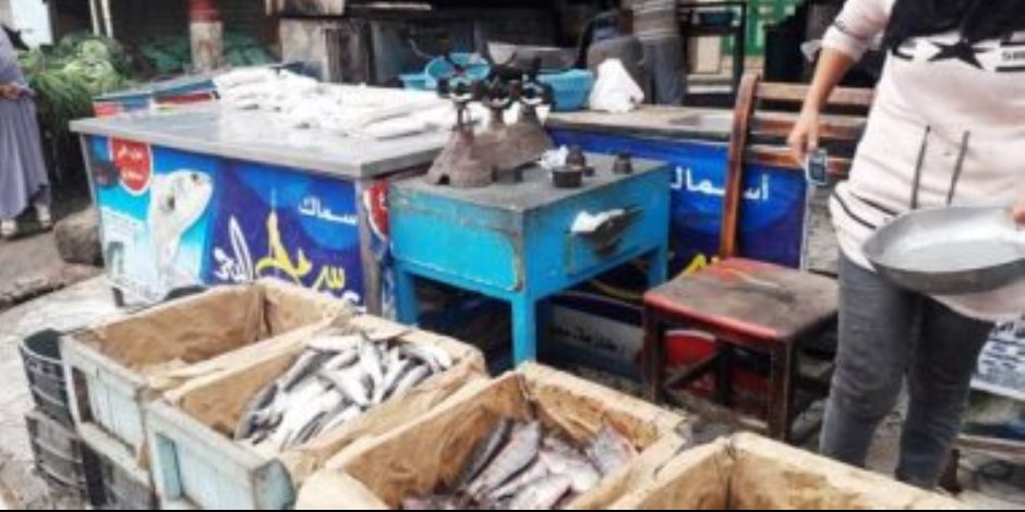  الحكومة تنفى انتشار أسماك فاسدة وغير صالحة للاستهلاك بالأسواق 