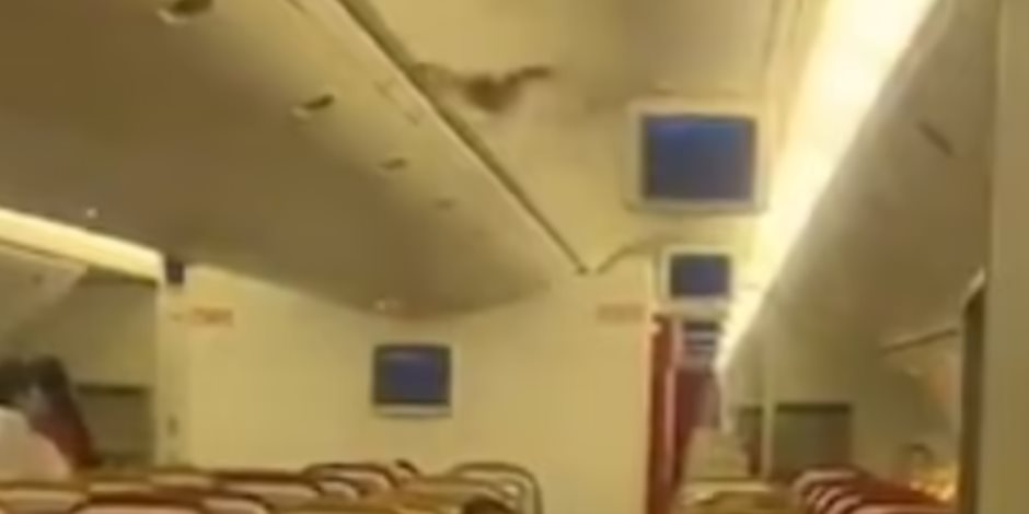 أثار رعب الركاب.. «خلاص» خفاش يغير مسار طائرة هندية ويضطرها للهبوط