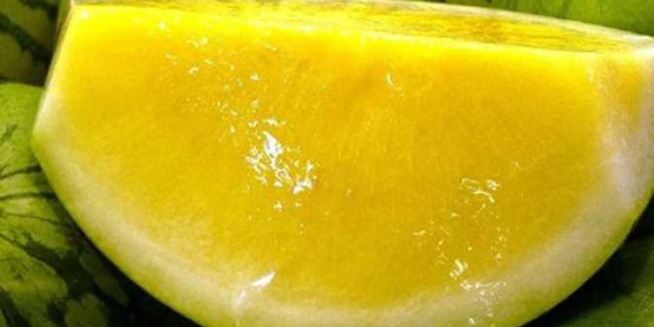 البطيخ الأصفر.. فوائده وأهم العناصر الغذائية في انقاص الوزن ومرضى السكر