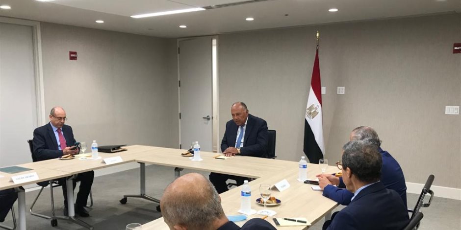 وزير الخارجية يلتقى اللجنة العربية المعنية بمتابعة ملف سد النهضة الإثيوبى