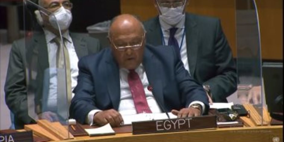 وزير الخارجية أمام مجلس الأمن: مصر تمارس سياسة ضبط النفس تجاه سلوك إثيوبيا
