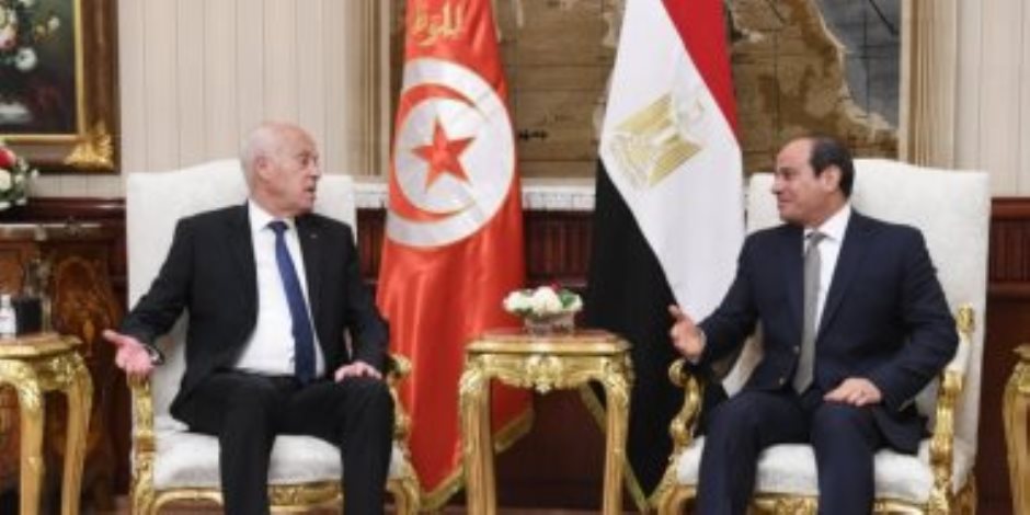دعم تونسى كامل لمصر فى قضية سد النهضة (إنفوجراف) 