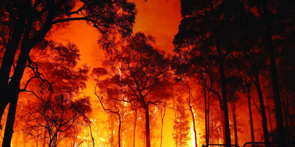 حرائق الغابات عرض مستمر.. التغير المناخي يهدد العديد من دول العالم