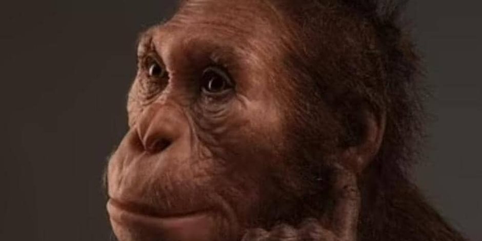 هل عاش الإنسان قبل مليوني عام؟.. اكتشاف جديد يثير جدلا
