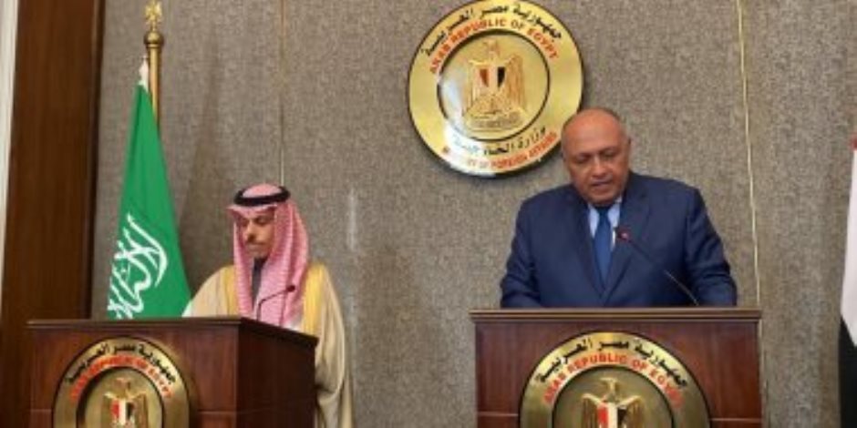 وزير الخارجية يجرى مشاورات مع نظيره السعودى حول الوضع فى السودان واليمن